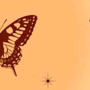 Meet your Posher, Ceiki